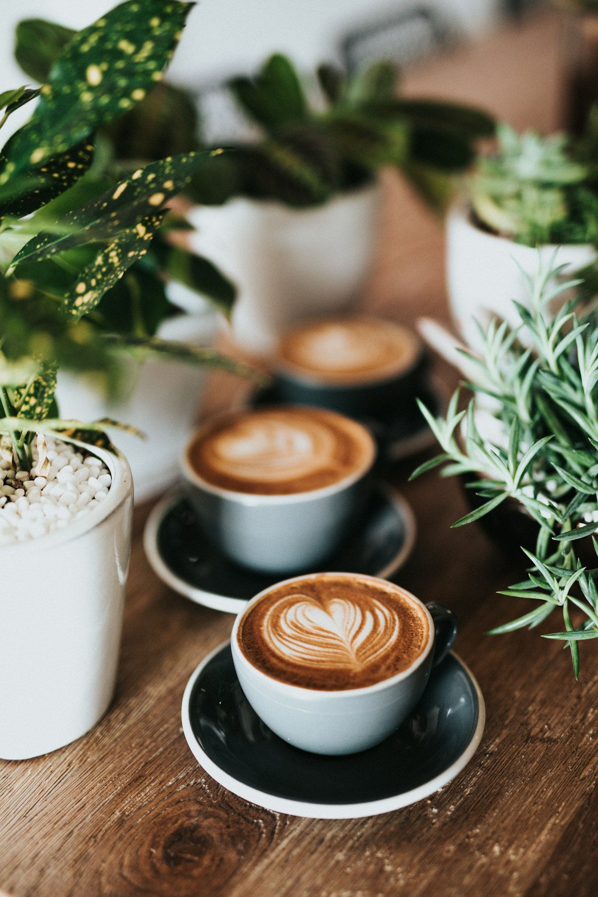 Coffee shop business plan: two cups of cappuccino and greenery on a wooden table