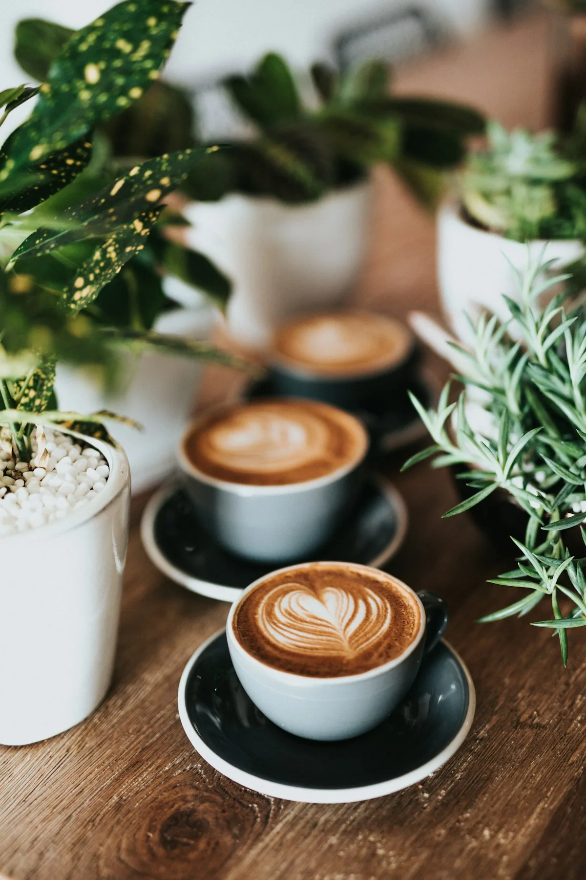 A cosy coffee house — cappuccino cups with latte art