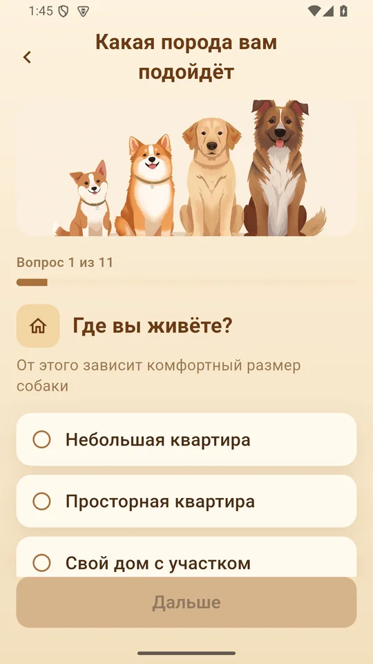 “Which breed suits you” quiz: 11 questions
