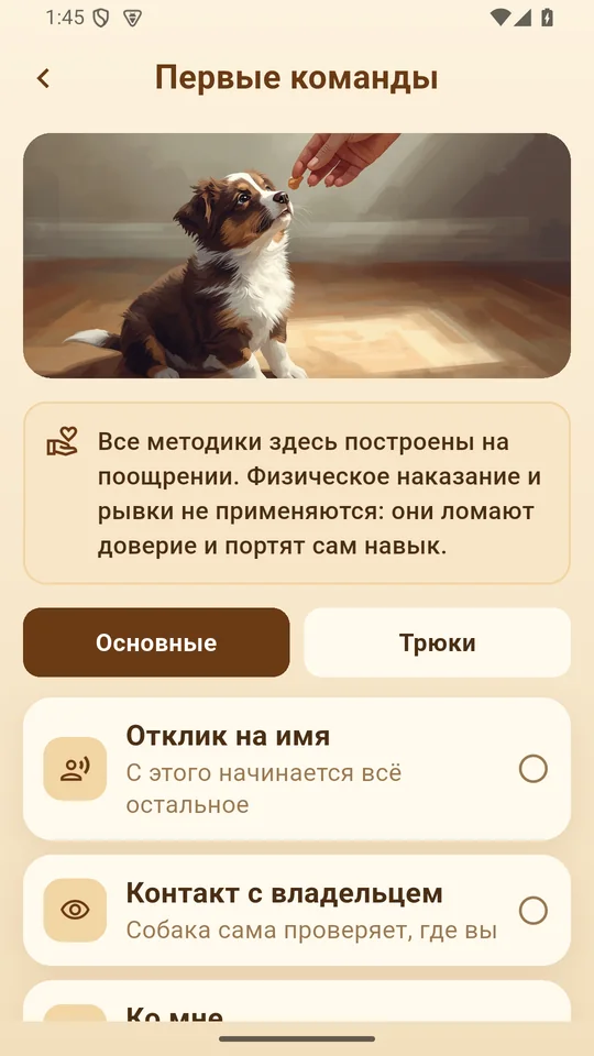 First commands: step-by-step training with rewards